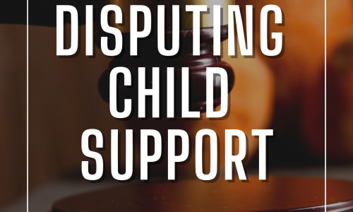 Disputing Child Support